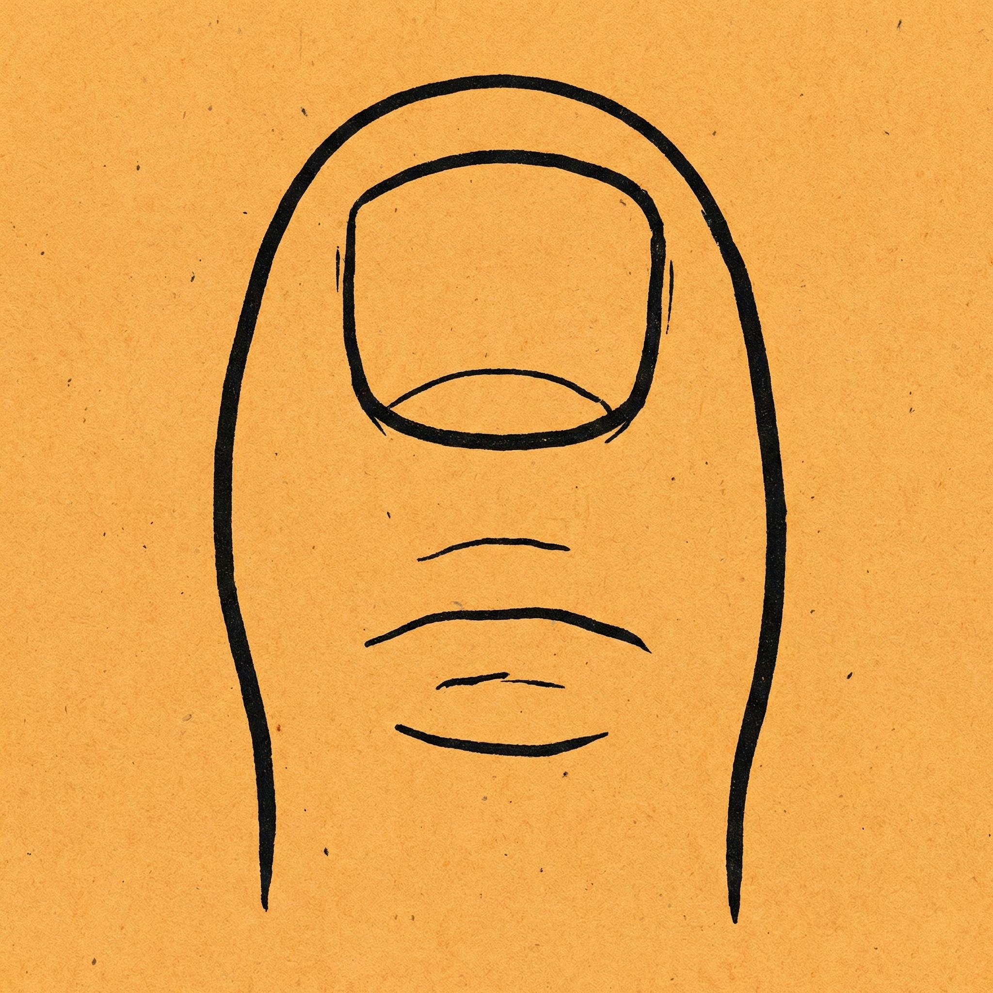 Close-up illustration of a toe